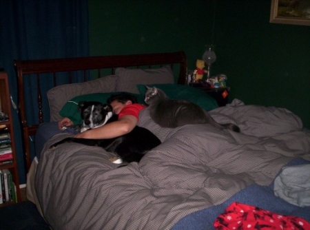 Life with Pets